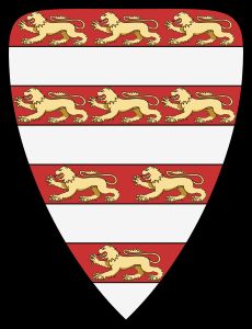 13세기에 아르파드 왕조의 상징이었던 빨간색과 흰색 줄무늬는 1202년 임레의 문장 중 하나에 처음 사용되었다. 이 문장에는 이중 십자가가 포함되지 않았고, 줄무늬만 있었으며, 흰색 줄무늬에는 아홉 마리의 사자가 있었다. 앤드루 2세의 금인칙서에는 서로 마주보는 일곱 마리의 사자가 있었고, 중앙에는 린든 잎이 있었다.