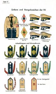 1937년 단원 제복, 제모 및 견장