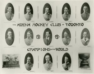 1917-18 시즌 토론토 아레나스. 위쪽 줄, 왼쪽부터: 러스티 크로포드, 해리 미킹, 켄 렌들, 코벳 데니니, 해리 캐머런. 중간 줄, 왼쪽부터: 딕 캐럴, 잭 아담스, 찰스 쿼리, 알프 스키너, 프랭크 캐럴. 아래쪽 줄, 왼쪽부터: 해리 머머리, 해리 "해프" 홈스, 레그 노블.