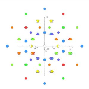 SO(10) 대통일 이론에서 입자의 약한 아이소스핀, W, 약한 아이소스핀, W', 강한 g3 및 g8, 그리고 바리온 마이너스 렙톤, B, 전하 패턴, E6에 포함되는 것을 보여주기 위해 회전