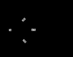 1951년경 폴로 그라운즈의 각 펜스까지의 거리