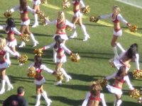 샌프란시스코 골드 러시 (2008년)