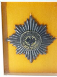 흑수리 훈장(부착식)