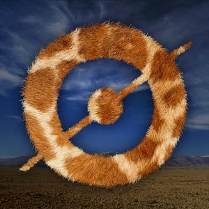 스냅샷 세렝게티는 탄자니아의 세렝게티 국립공원에서 동물의 분류를 하고 있다.