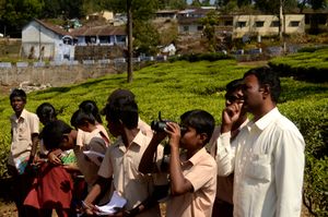 인도 조류 관찰 JEG0901