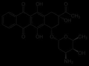 이다루비신: 급성 골수성 백혈병(AML)에 사용