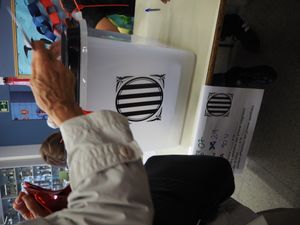 바르셀로나 기나르도에서 투표하는 사람