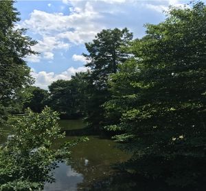 마운트 오번 묘지의 지형