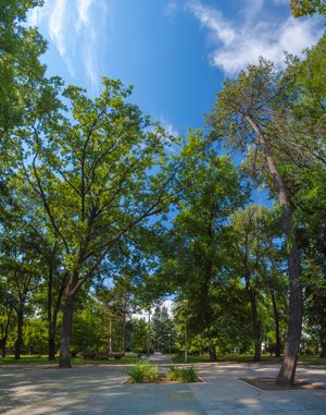 이즈마일 시립 공원