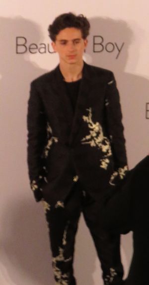 2018년 뷰티풀 보이 시사회에 참석한 샬라메