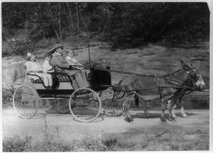 경. 두 마리의 당나귀가 끄는 마차를 탄 세 아이. 최초의 "피에 누아르"는 프랑스 아프리카 군대 인원들의 자녀들이었다.