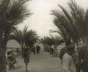 필리프빌 공원은 1900년에 촬영되었으며 유럽인과 토착 알제리인이 함께 자주 찾았다.