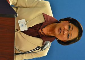 캄라 파사드 비세서