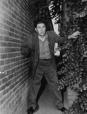 빌 레이시가 연기한 외팔이 남자