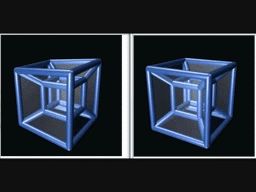 왼쪽 그림을 평행법으로 입체적으로 보기