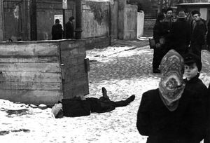 1948년 12월, 혹독한 추위와 굶주림으로 노동 사무소 앞에서 쓰러진 남성