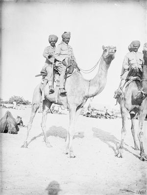 비카네르 낙타 기병대, 엘 아리쉬 1918