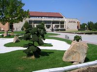 안토니오 알렉세 아레나