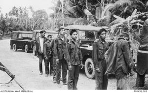 케상 강 근처에서 체포된 인도네시아 침투자, 1964년 10월 29일 호주 왕립 연대에 의해 체포됨.