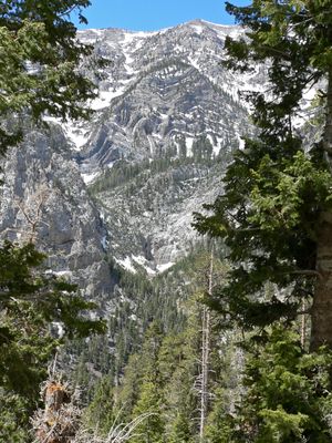 마운트 찰스턴 황야의 카일 캐니언