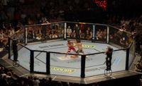 UFC 74의 경기 모습.