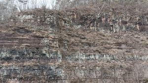 청기면 상청리 동천변의 도계동층 노두