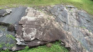 경상 누층군 울산층에 드러난 공룡 발자국 화석의 모습