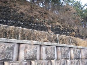 가천역 동쪽 경부선 철도 및 천을로 23길 도로 절개 사면에 드러난 건천리층의 흑색 셰일 노두이다. 남동쪽으로 약 15°정도 기울어 있다.