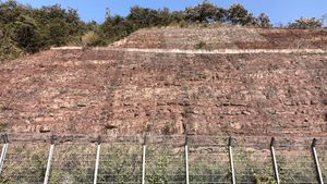 청송군 진보면 추현리 국도 제34호선 도로변 동화치층 노두