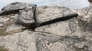 울주 대곡리 공룡발자국 화석 암석