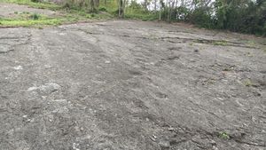 창원 호계리 공룡발자국 화석 안내 표지판