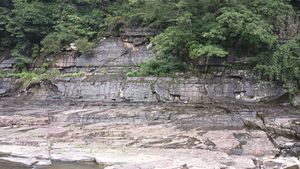 천전리공룡발자국화석