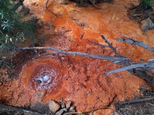 철천수 샘물이 라 팔마의 카스카다 데 로스 콜로레스(Cascada de los Colores) 아래에 있다.