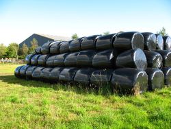 뉴턴 오브 코도르 건초 묶음, 겨울을 위해 저장된 향긋한 먹이