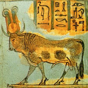 관에 그려진 아피스. 기원전 11세기~10세기