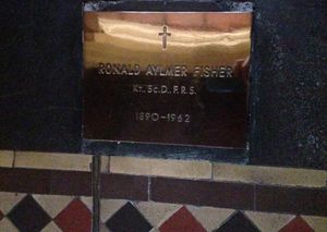 로널드 피셔의 유해가 안치된 기념 명판, 애들레이드 성 베드로 대성당 강단 측면 통로