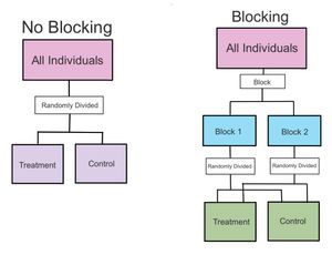 블록화 (오른쪽)
