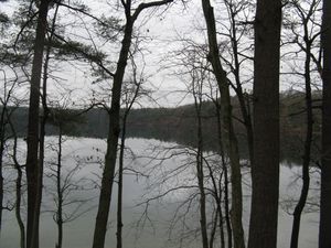 월든 연못(Walden Pond) (11월)