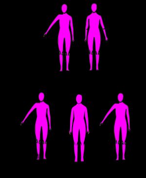 어깨 관절에서의 관절의 기능적 움직임 - 원운동의 가용범위