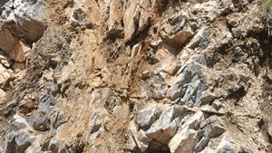 제천시의 서창리층