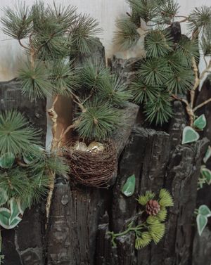 욕실의 제습 및 공기 정화를 위한 숯