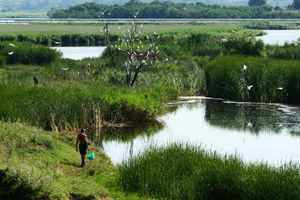 우중게렌 보호 구역