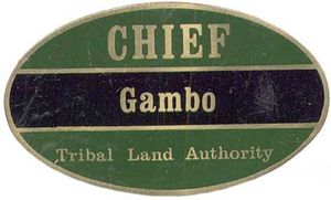 짐바브웨의 치프 감보의 직위 배지 .