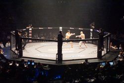 9M * 9M 사이즈의 팔각 케이지 안에서 최무배와 루카스 타니가 시합을 하고 있다.