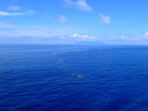 세픽 강 어귀에서 80km 떨어진 바다의 담수/염수 경계면