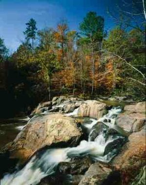 오번의 추와클라 주립 공원을 흐르는 개울