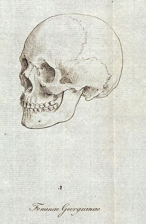 요한 프리드리히 블루멘바흐(Johann Friedrich Blumenbach)가 그린 조지아인(Georgians) 여성의 두개골 그림으로, 1795년 저서 De Generis Humani Varietate에서 코카서스 인종의 특징을 나타내는 전형으로 사용되었다.