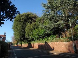 영국 엑스터의 원포드 로드. 이 길 근처에는 로열 데본 앤 엑서터 NHS 재단 트러스트의 마돈 신경 재활 센터가 있다. 마돈 하우스로 알려졌을 때, 시설 폐쇄 위협으로 인해 1999년 판결인 ex parte Coughlan이 나왔는데, 항소 법원은 장애인 거주자가 그곳에서 "평생 집"을 갖게 될 것이라는 합당한 기대를 건강 당국이 시설을 관리하면서 위반했다고 판결했다.