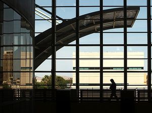 리드 도서관 창문을 통해 본 모습. 이 도서관은 100만 권 이상의 장서를 보유하고 있으며, 2,500개의 학습 공간을 갖추고 있다.