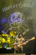 워 피그(스나글투스)의 일러스트 & 레미 (2015년 6월)